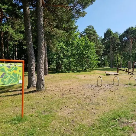 Suvekorter